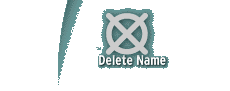 Delete DNS Name