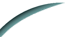 top logo